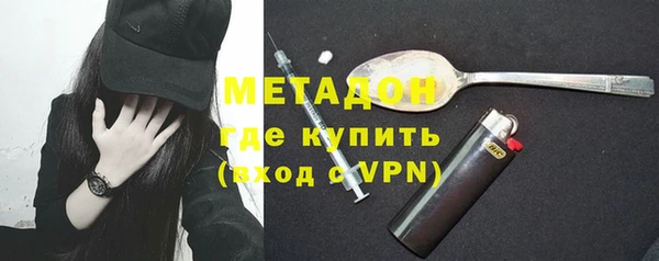 прущие грибы Няндома