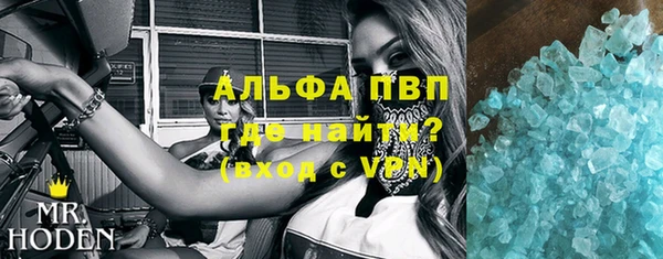 прущие грибы Няндома