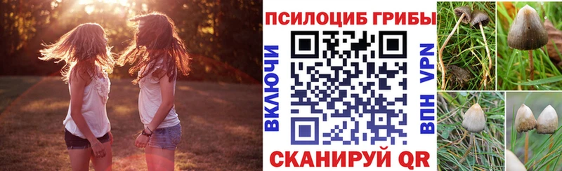 цена   Омутнинск  мега зеркало  Псилоцибиновые грибы мицелий 